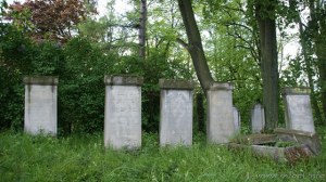 macewy