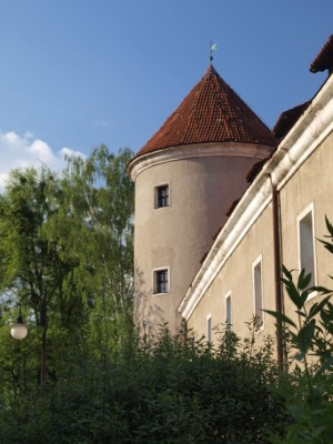 Zamek krzyżacki w Pasłęku