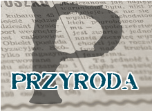 Pasłęk silva rerum