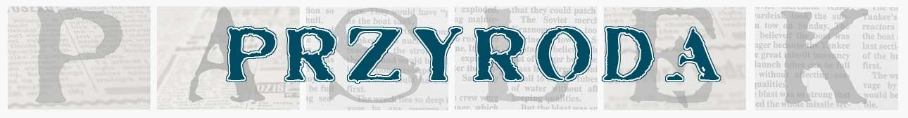 menu_przyrodaP