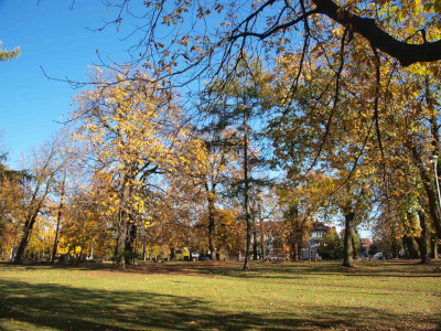 Arboretum w Parku Niemieckim